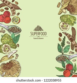 Background with super food: reishi mushroom, morinda, noni fruit, camu camu, carob pods and chia. Super food. Vector hand drawn illustration.