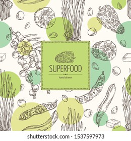 Background with super foods: acai berries, noni fruits, wheat grass and carob pods. Vector hand drawn illustration.