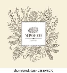 Background with super foods: acai berries, noni fruits, wheat grass and carob pods. Vector hand drawn illustration.