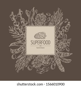 Background with super foods: acai berries, noni fruits, wheat grass and carob pods. Vector hand drawn illustration.