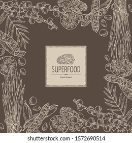 Background with super foods: acai berries, noni fruits, wheat grass and carob pods. Vector hand drawn illustration.