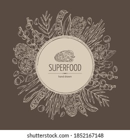 Background with super foods: acai berries, noni fruits, wheat grass and carob pods. Vector hand drawn illustration.