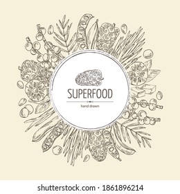 Background with super foods: acai berries, noni fruits, wheat grass and carob pods. Vector hand drawn illustration.