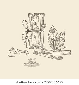 Background with  tabebuia impetiginosa: wood,  leaves and tabebuia impetiginosa   bark. Lapacho tea. Vector hand drawn illustration.