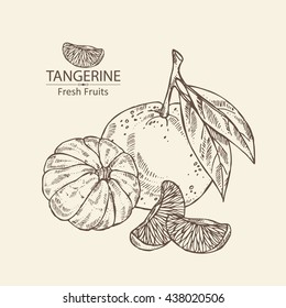 Background with tangerine . hand drawn