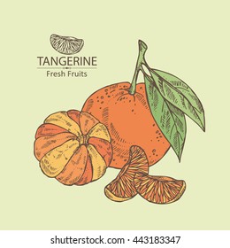 Background with tangerine . hand drawn