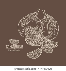 Background with tangerine . hand drawn