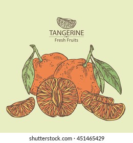 Background with tangerine . hand drawn