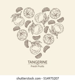 Background with tangerine and tangerine slice. hand drawn .. hand drawn