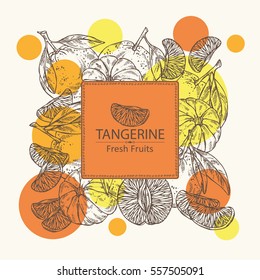 Background with tangerine and tangerine slice. hand drawn
