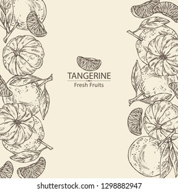 Background with of tangerine . Vector hand drawn illustration