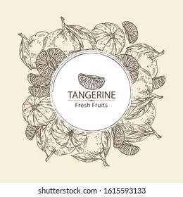 Background with of tangerine . Vector hand drawn illustration