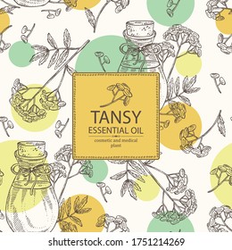 Antecedentes con flor de tansy y botella de aceite esencial tansy. Cosmética, perfumería y planta médica. Ilustración dibujada a mano por el vector