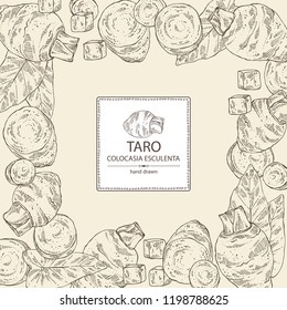 Background with taro: taro root, leaves and taro slice. Colocasia esculenta. Vector hand drawn illustration.