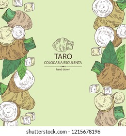 Background with taro: taro root, leaves and taro slice. Colocasia esculenta. Vector hand drawn illustration.