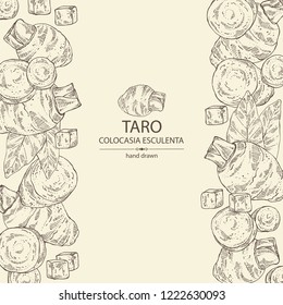 Background with taro: taro root, leaves and taro slice. Colocasia esculenta. Vector hand drawn illustration.