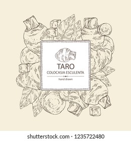Background with taro: taro root, leaves and taro slice. Colocasia esculenta. Vector hand drawn illustration.