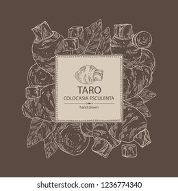Background with taro: taro root, leaves and taro slice. Colocasia esculenta. Vector hand drawn illustration.