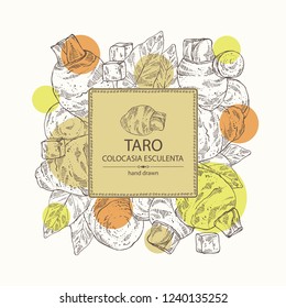 Background with taro: taro root, leaves and taro slice. Colocasia esculenta. Vector hand drawn illustration.
