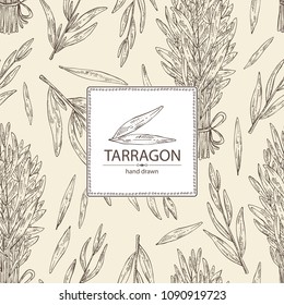 Background with tarragon: branch and tarragon leaves. Vector hand drawn illustration.