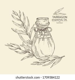 Hintergrund mit Pareragon-Pflanze und Flasche von Pareragon ätherisches Öl. Kosmetik, Parfüm und medizinische Anlagen. Vektorillustration, handgezeichnet