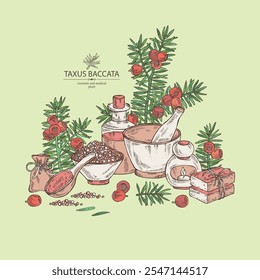 Background with taxus baccata: plant, branch of taxus baccata and taxus baccata berries. Berry yew. Oil, soap and bath salt . Cosmetics and medical plant. Vector hand drawn illustration