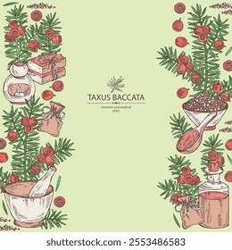 Background with taxus baccata: plant, branch of taxus baccata and taxus baccata berries. Berry yew. Oil, soap and bath salt . Cosmetics and medical plant. Vector hand drawn illustration