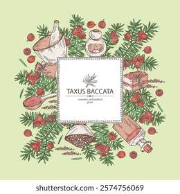 Background with taxus baccata: plant, branch of taxus baccata and taxus baccata berries. Berry yew. Oil, soap and bath salt . Cosmetics and medical plant. Vector hand drawn illustration