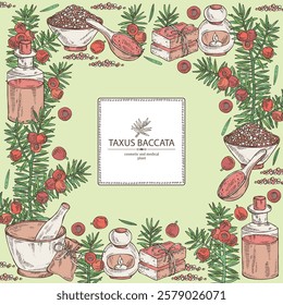 Background with taxus baccata: plant, branch of taxus baccata and taxus baccata berries. Berry yew. Oil, soap and bath salt . Cosmetics and medical plant. Vector hand drawn illustration