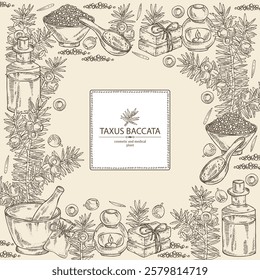 Background with taxus baccata: plant, branch of taxus baccata and taxus baccata berries. Berry yew. Oil, soap and bath salt . Cosmetics and medical plant. Vector hand drawn illustration