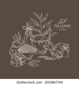 Hintergrund mit Tee: Zweig, Teeblätter und Badesalz, Seife und Kosmetikprodukte. Grüner Tee. Kosmetik, Parfüm und medizinische Anlagen. Vektorgrafik, handgezeichnet.