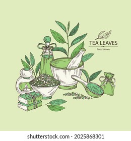 Background with tea: branch, tea leaves and bath salt, soap and beauty products. Green tea. Cosmetic, perfumery and medical plant. Vector hand drawn illustration.