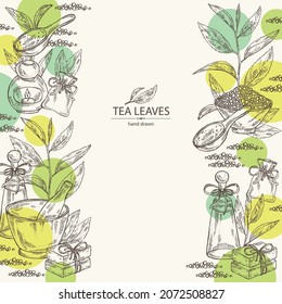 Background with tea: branch, tea leaves and bath salt, soap and beauty products. Green tea. Cosmetic, perfumery and medical plant. Vector hand drawn illustration.