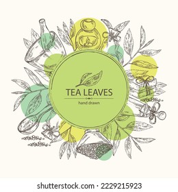 Fondo con té: rama, hojas de té y sal de baño, jabón y productos de belleza. Té verde. Cosmética, perfumería y planta médica. Ilustración dibujada a mano por vectores.