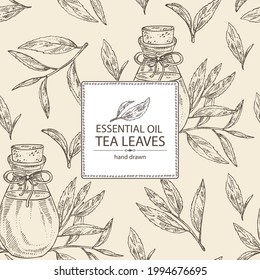 Fondo con té: rama, hojas de té y botella de té aceite esencial. Té verde. Cosmética, perfumería y planta médica. Ilustración dibujada a mano por vectores.