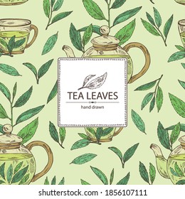Fondo con té: hojas de rama y té, una taza de té y tetera. Té verde. Ilustración dibujada a mano por vectores. 