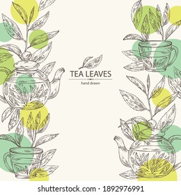 Background with tea: branch and tea leaves, a cup of tea and teapot. Green tea. Vector hand drawn illustration. 