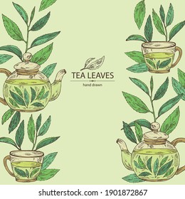Background with tea: branch and tea leaves, a cup of tea and teapot. Green tea. Vector hand drawn illustration. 