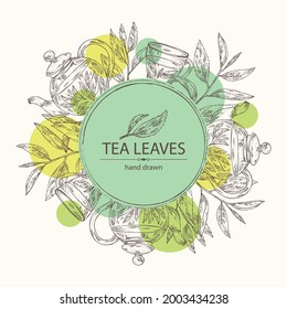 Background with tea: branch and tea leaves, a cup of tea and teapot. Green tea. Vector hand drawn illustration. 
