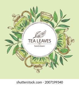 Background with tea: branch and tea leaves, a cup of tea and teapot. Green tea. Vector hand drawn illustration. 