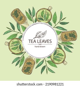 Background with tea: branch and tea leaves, a cup of tea and a teapot. Green tea. Vector hand drawn illustration. 