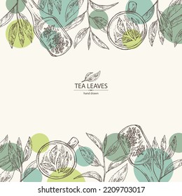 Background with tea: branch and tea leaves, a cup of tea and a teapot. Green tea. Vector hand drawn illustration. 