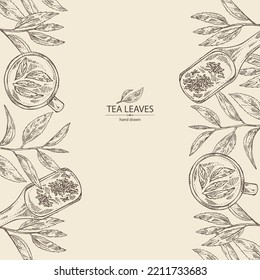 Fondo con té: hojas de rama y té, una taza de té y una tetera. Té verde. Ilustración dibujada a mano por vectores. 