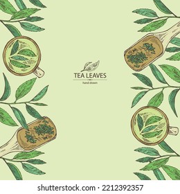 Fondo con té: hojas de rama y té, una taza de té y una tetera. Té verde. Ilustración dibujada a mano por vectores. 