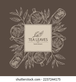 Fondo con té: hojas de rama y té, una taza de té y una tetera. Té verde. Ilustración dibujada a mano por vectores. 
