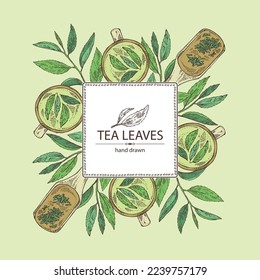 Fondo con té: hojas de rama y té, una taza de té y una tetera. Té verde. Ilustración dibujada a mano por vectores. 