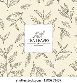 Background with tea: branch and tea leaves. Green tea. Vector hand drawn illustration. 