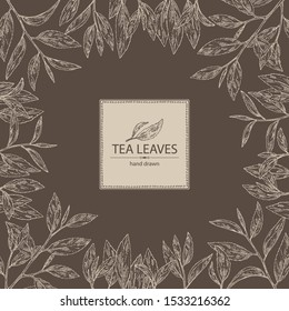 Background with tea: branch and tea leaves. Green tea. Vector hand drawn illustration. 