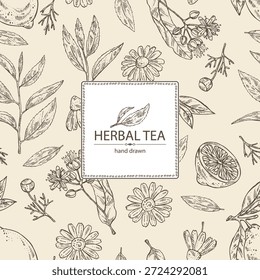 Fondo con té, fruta y corazones, té de hierbas: hojas de té, limón, flor de tilo, flor de manzanilla. Vector dibujado a mano ilustración.