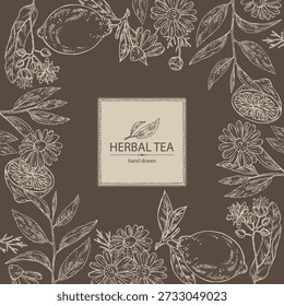 Fundo com chá, frutas e ervas, chá de ervas: folhas de chá, limão, flor de tília, flor de camomila. Ilustração desenhada à mão do vetor.